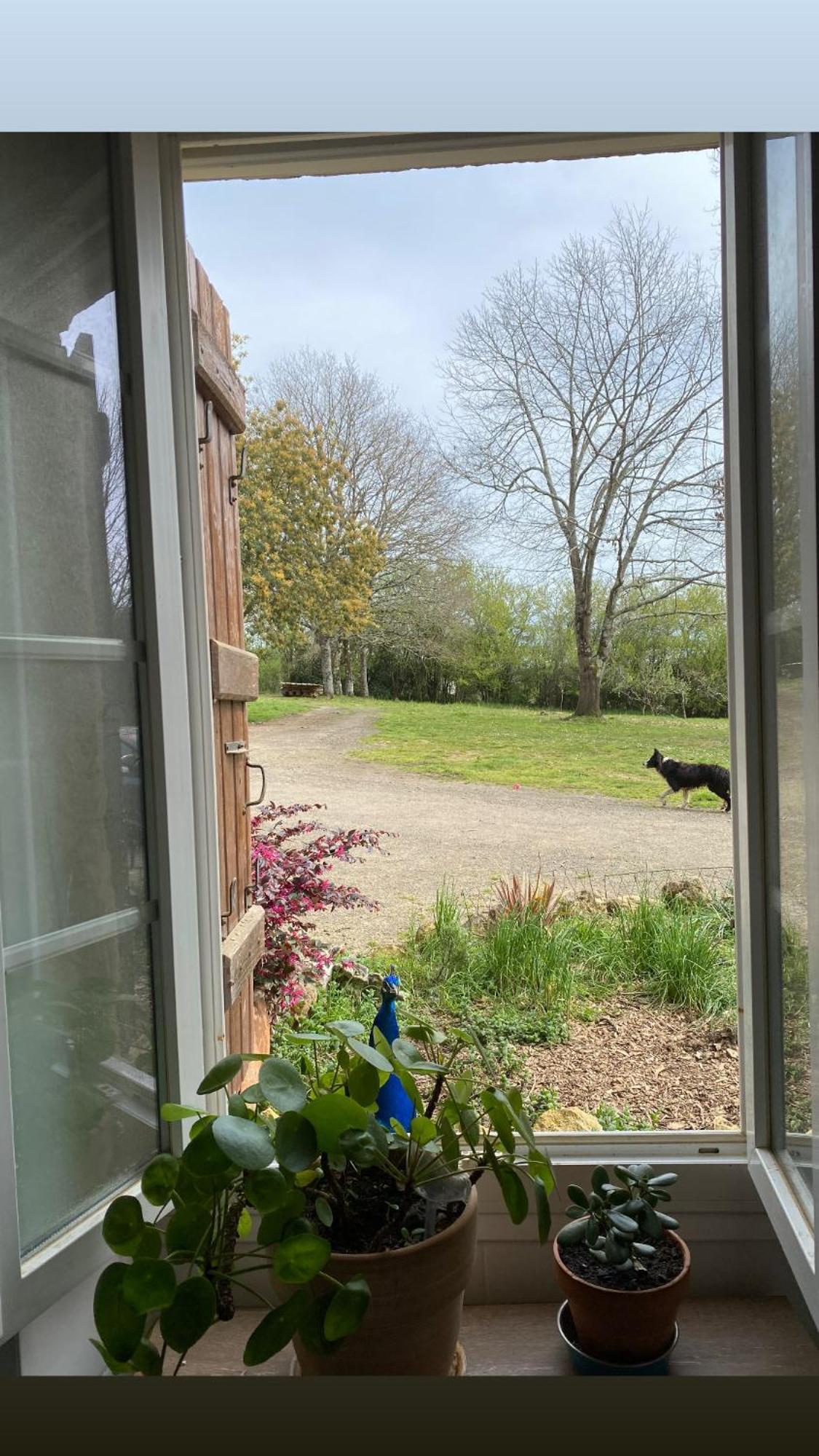 La Bastide Bed and Breakfast Armous-et-Cau Exteriör bild